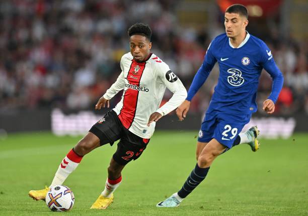 享受乐趣的 享受乐趣的